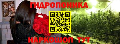 дживик Боровичи