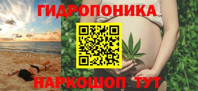 прущие грибы Краснознаменск